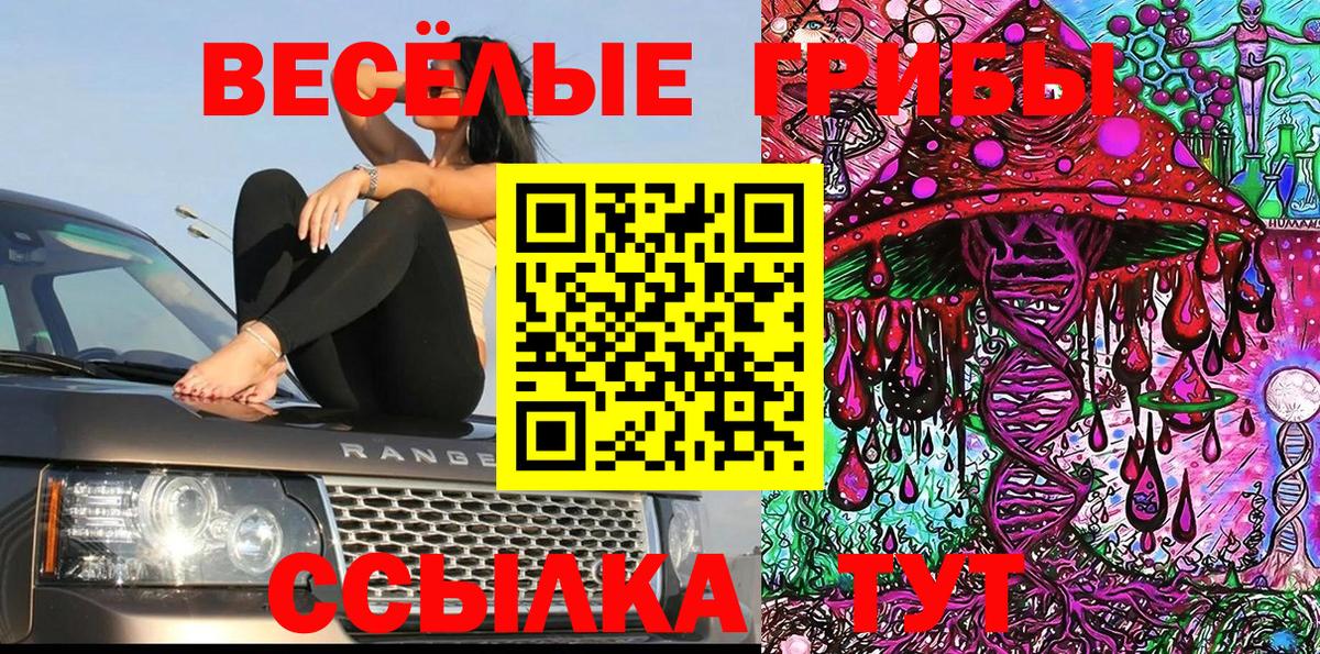 Псилоцибиновые грибы мицелий Вятские Поляны