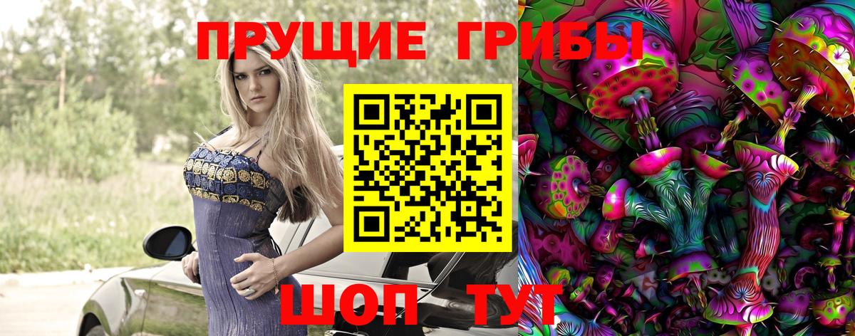 Псилоцибиновые грибы Psilocybe  Вход с VPN  Вятские Поляны  Псилоцибиновые грибы MAGIC MUSHROOMS 